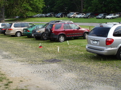 Bird_at_rye_golf_club_parking_lot_wide_v