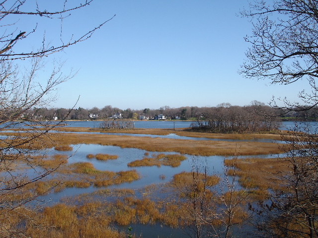 Rye Marshlands Thanksgiving Weekend