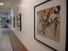 Joann_cancro_photo_exhibit_hall_1_1