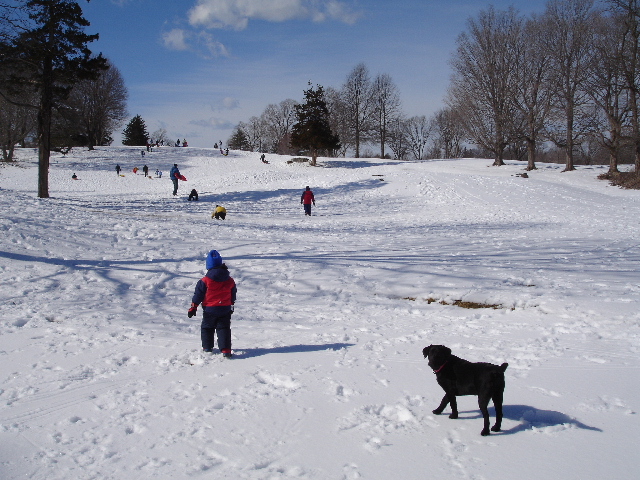 Sledding at Rye Golf Club