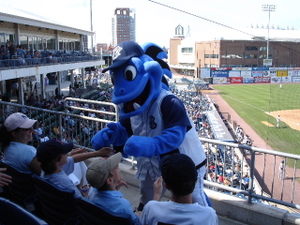 Bridgeport_bluefish_mascot_4