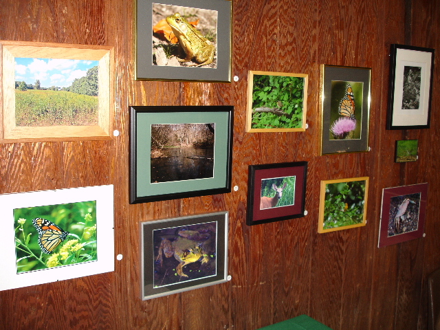 Marshlands: Take Only Photos… Or Maybe Just Look at Them