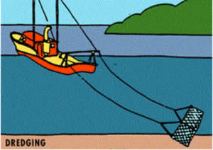 Dredging