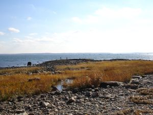 For a Shoreline Walk, Try Edith Read Sanctuary