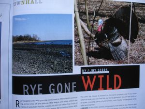 Rye Mag Rye Gone Wild DSC09332