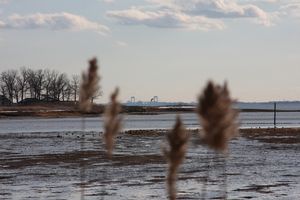 City bridge marshlands 02-14-2010 069