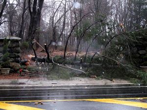 Reader Storm Pic: Jay House Driveway Blocked by Tree by Suzanne Clary