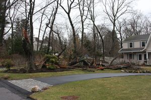 Storm Wrap-Up from Rye PD Commish Connors