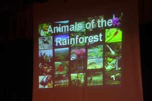 The Rainforest Rap (VIDEO): Ms. Topol’s 3rd Grade Osborn Class