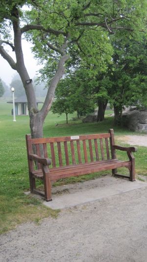 Bench rye beach yoga 001