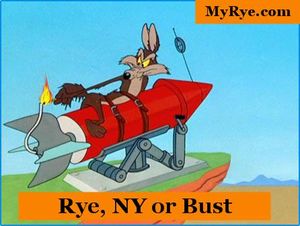 Wile e coyote MyRye