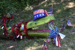 Roadside Patriot on Manursing Way