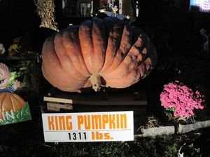 King Pumpkin, Just Over the Border