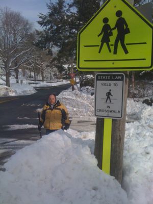 Jan 29 2011 - Milton & Palisade City Plowings Deep on the crosswalk14