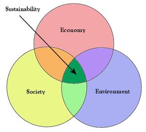 Make Rye Sustainable: Thursday, 7pm