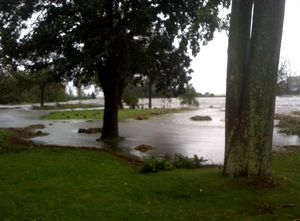 PICS: Forrest Avenue Area Flooding – Rye, NY