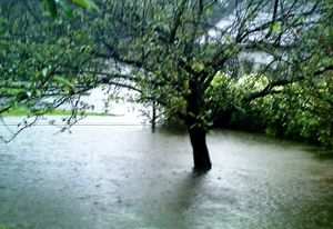 Flooded Dogwood Lane (Lake)
