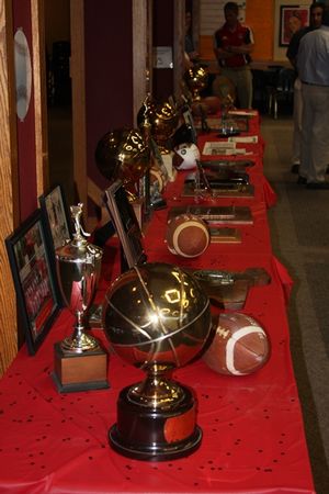 Rye sports panel trophies 046 small