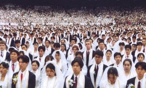 Mass Wedding in Rye Town Park Next Friday