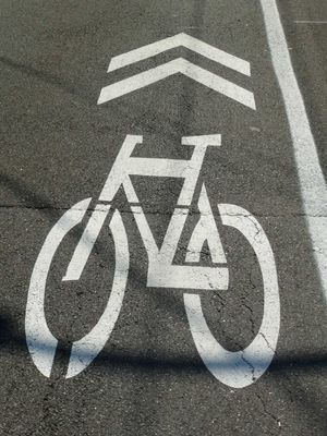 Bicyclists Get Respect on Forest