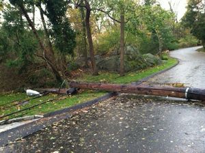 Kirby Lane North Power Lines Down – Pictures