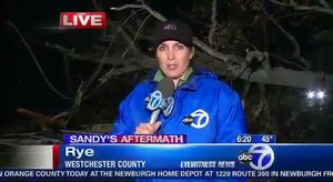 VIDEO: Sandy Report Channel 7 Trees Down, Playland Damage