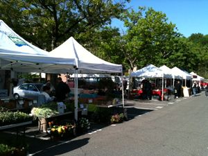 Get Corny: This Sunday at Rye’s Down to Earth Farmers Market