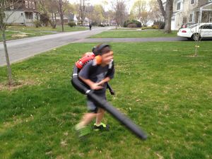 Leaf Blowers and the Rule of Law