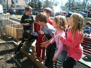 Kids gardening