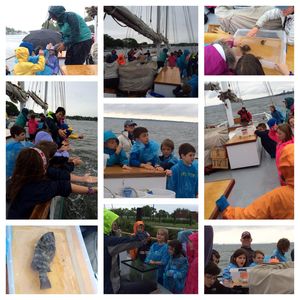 Milton 2nd Graders: Land and Sea