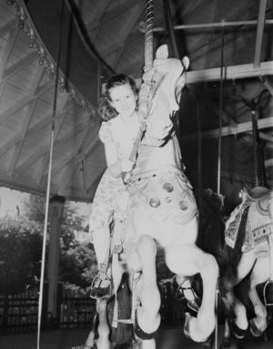 Old horse Playland_Carousel (1)