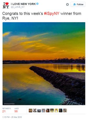 Rye in I Love NY Photo of the Week