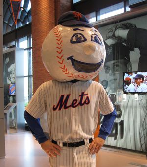 Mr. Met and the Rye School Board Election of 2016