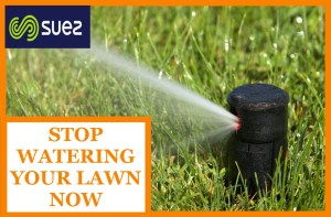 Rye City Residents Required to Stop Watering Lawns