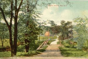 Postcards from Rye: Central Avenue Rye, NY Circa 1911