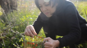 Jay Heritage Teaches How to Forage, January 20, 2017 11:30am