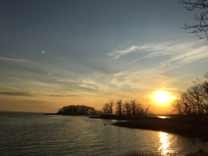 PHOTO: Rye Marshlands