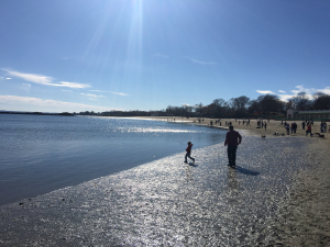 PHOTOS: A Glimpse of Spring in Rye