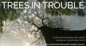 Trees-in-trouble