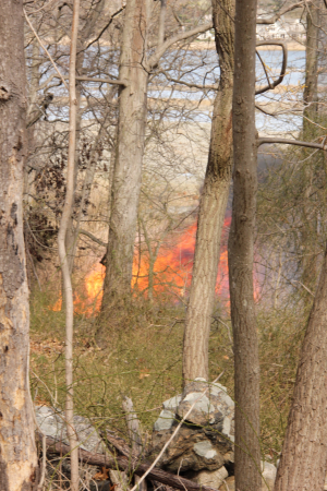 Marshlands Fire 2