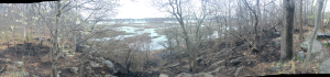 PHOTOS: Rye Marshlands Fire Aftermath