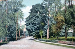 Postcards from Rye: Boston Post Road Rye, NY Circa 1908