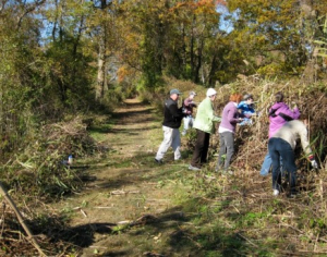 Saturday Clean-Up at Edith G. Read Wildlife Sanctuary