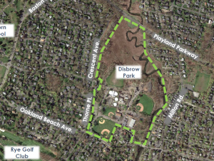 Disbrow Park’s Future – What Do You Think?