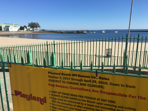 Playland Beach: Gone to the Dogs