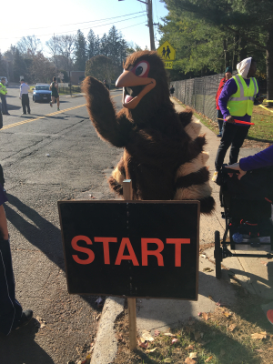 Rye Turkey Trot Race Results