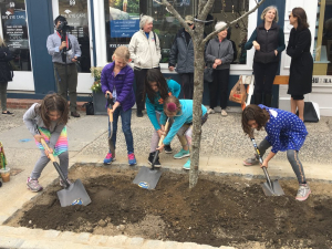 Donations Fund Planting of Seven Trees