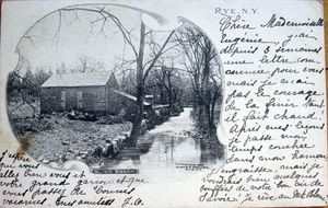 Postcards from Rye: Cabin on Blind Brook Rye NY Circa 1905