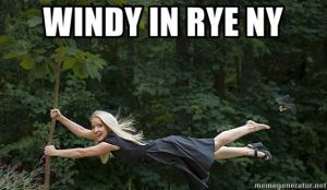 WINDY RYE MEME