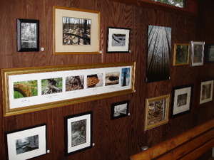 45th Annual Marshlands Photo Show Opens Sunday, October 14, 2018